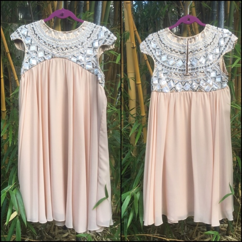 Anthropologie Chiffon Calpurnia Swing Dress